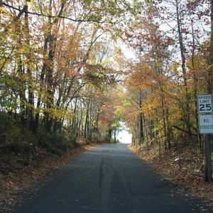 Meet your Posher, Susie